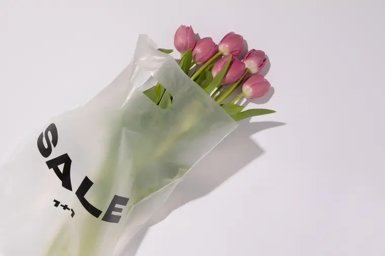 Tulips in Bag