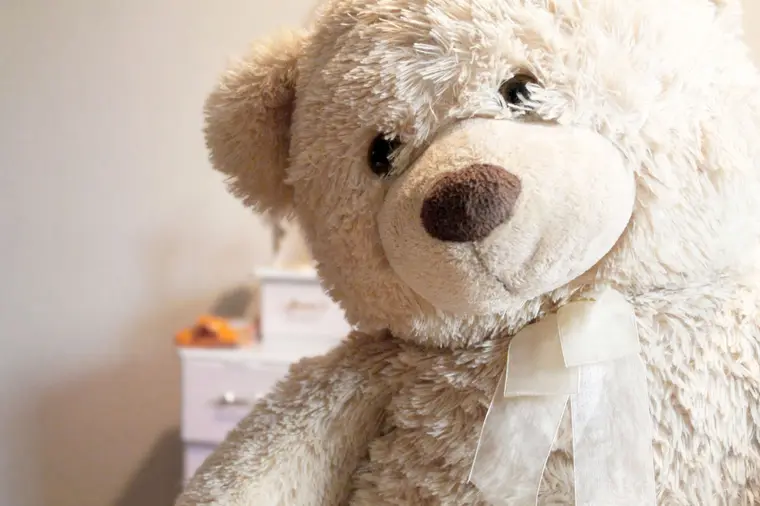 Teddy Bear